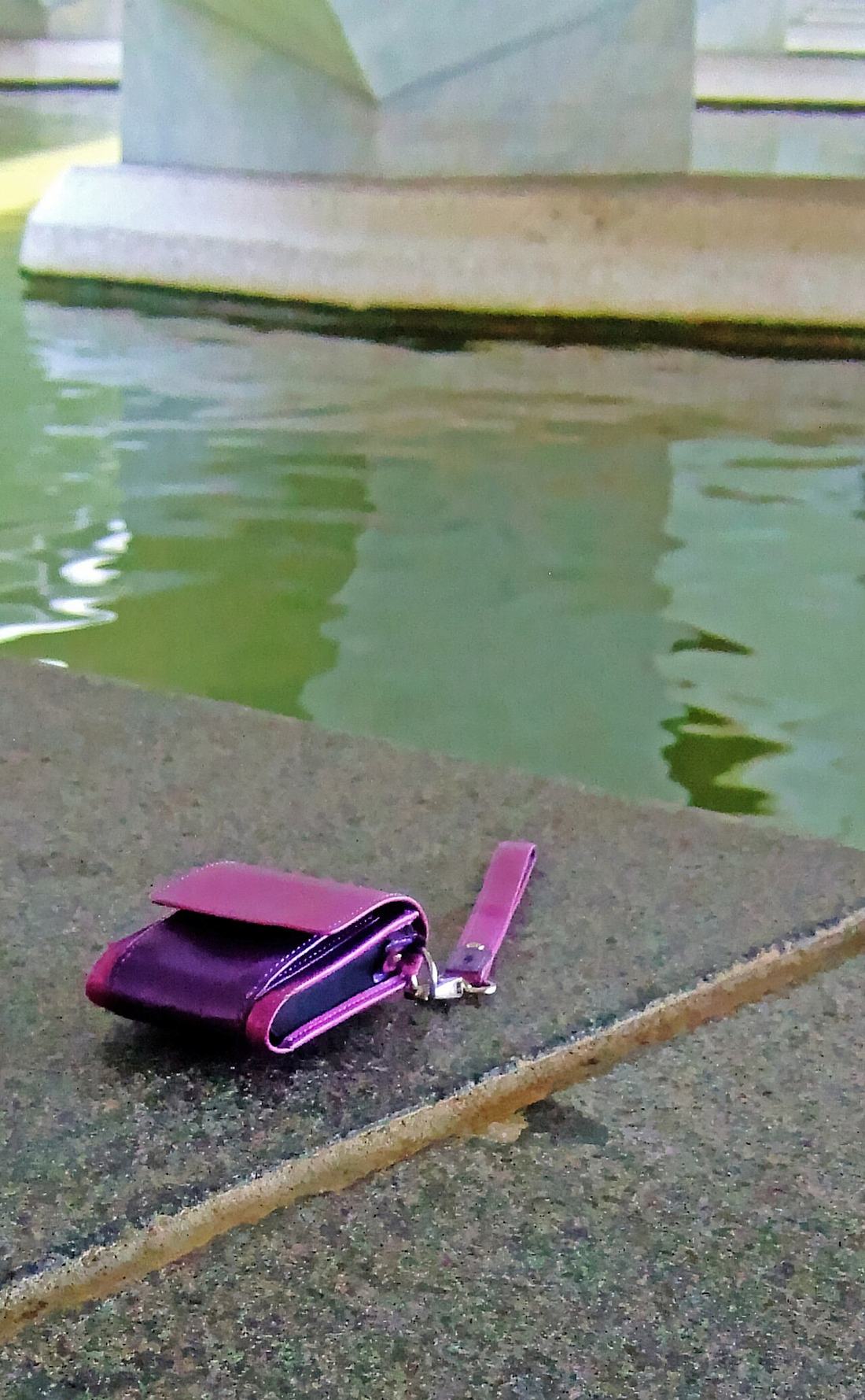 Lost wallet (10623155873)